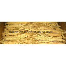 High Quality Low Pesticide White Ginseng Root & Red Ginseng Root